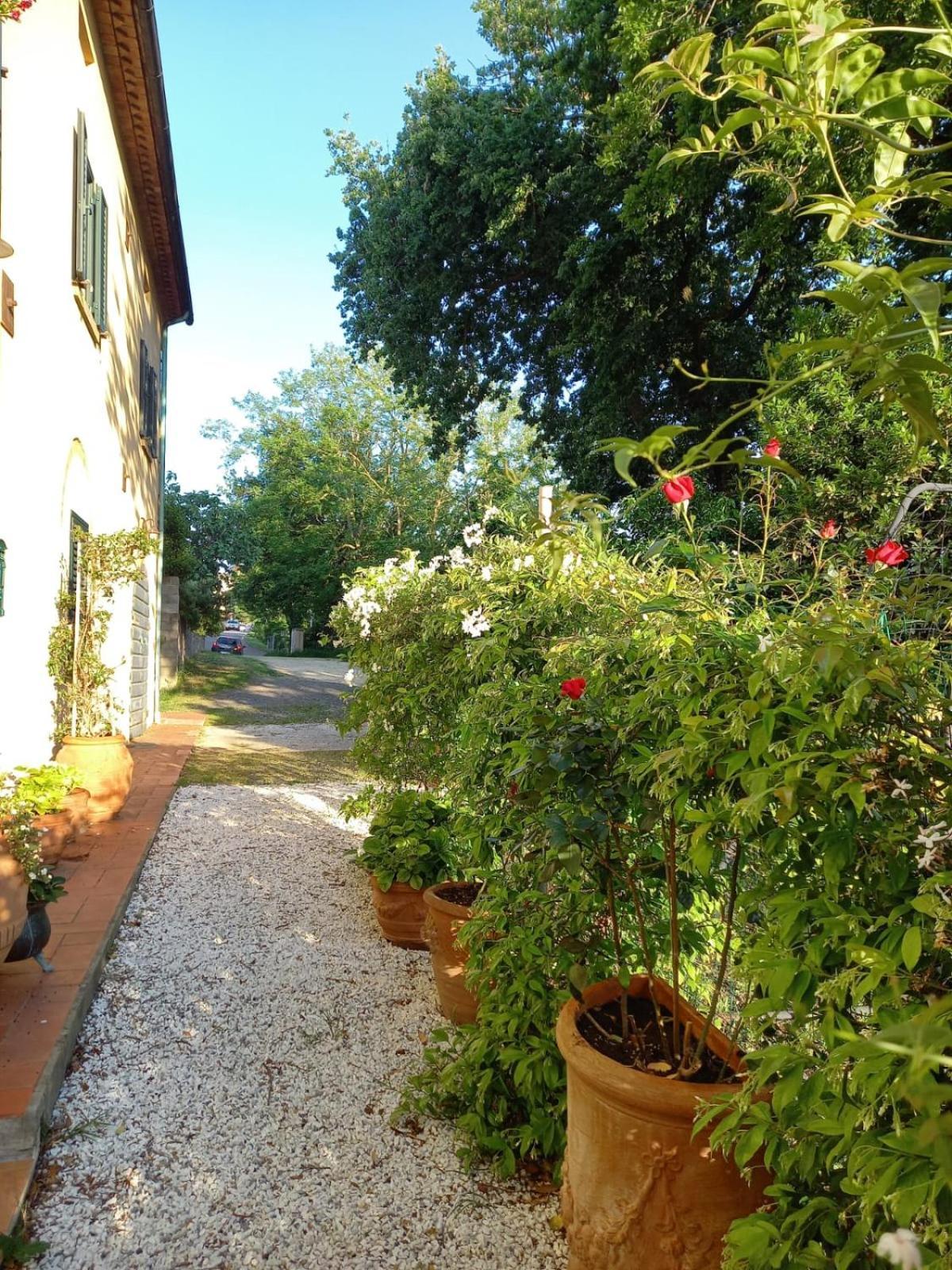 La Bellana Apartment Guardistallo Exterior photo